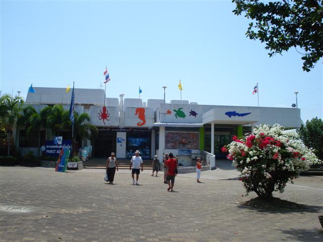 DSC02272 (Small).JPG
